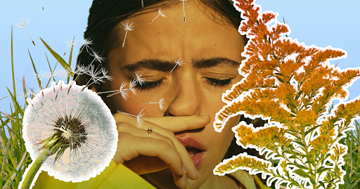 How to Deal with Pollen Allergy – Effective Solutions for a Sneezeless Life