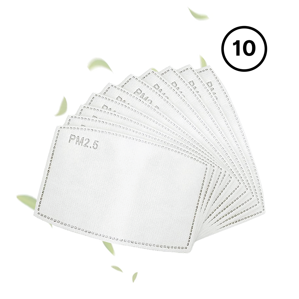 PM 2.5 Activated Carbon Filters (Pack of 10)
