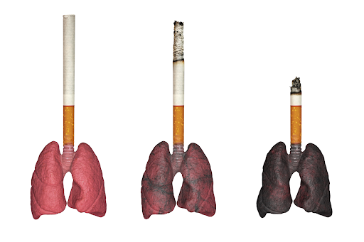 How Smoking Takes a Toll on Your Heart and Lungs