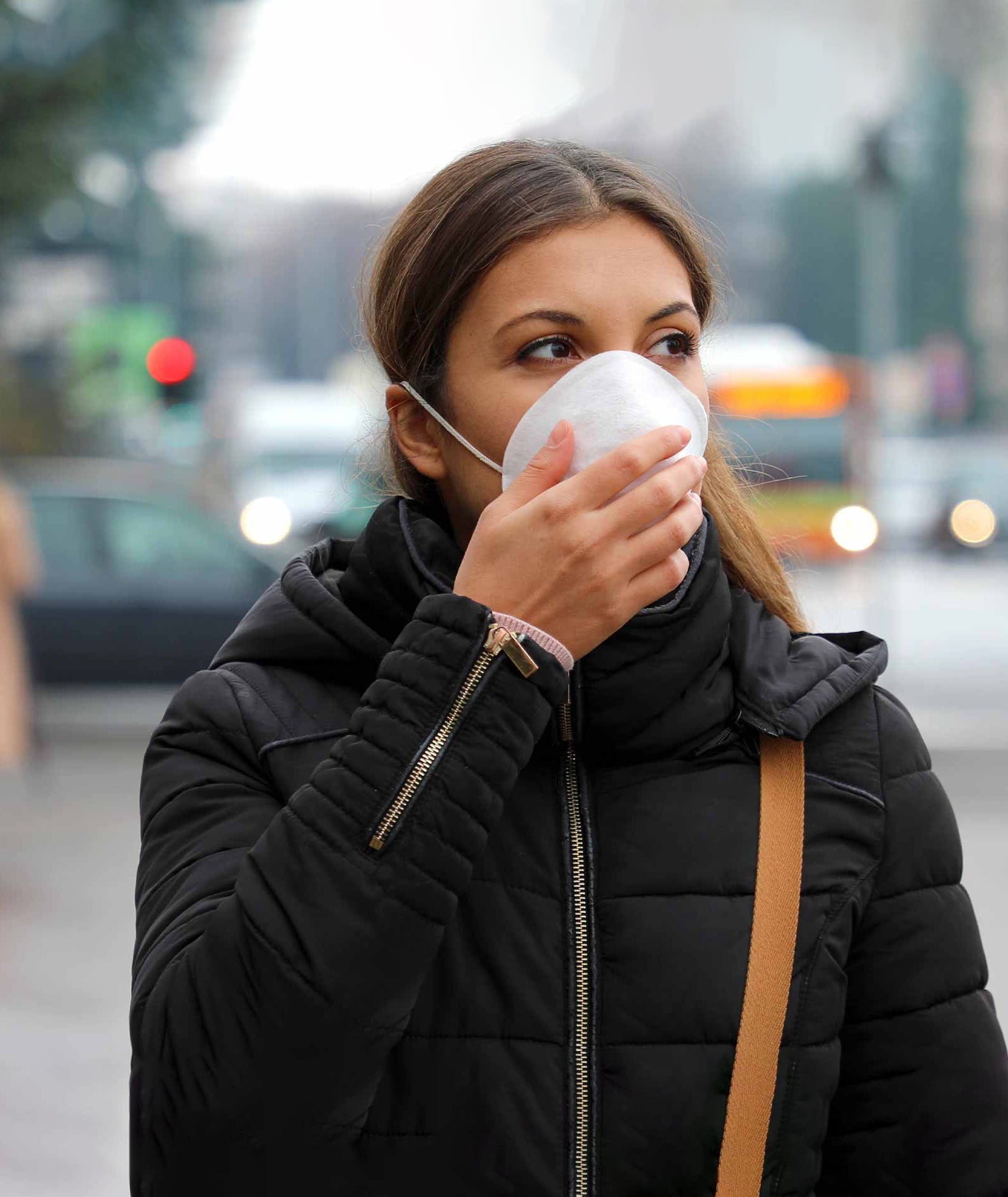 Seasonal Smog and Your Health: Why an Air Purifier is Essential During Winters