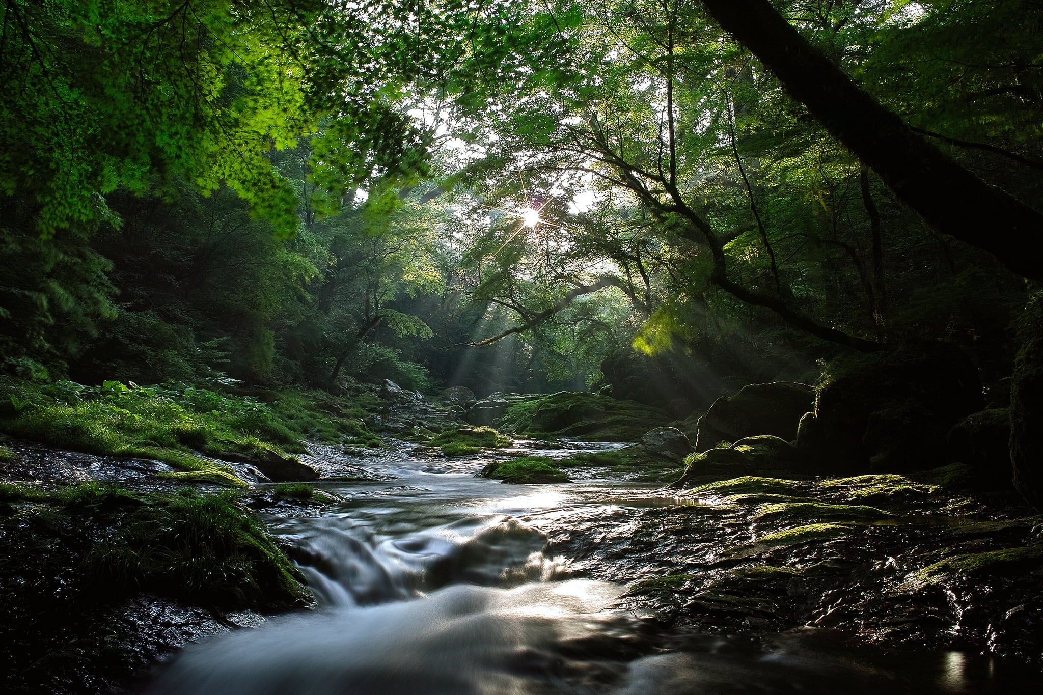 Why Negative Ions Matter: The Science Behind atovio’s Air Purifiers